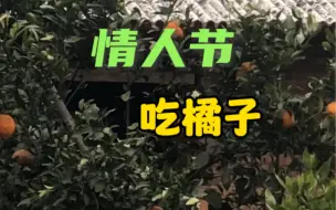 下载视频: 情人节礼物