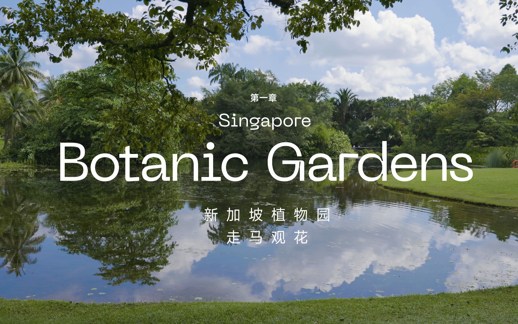 新加坡植物园(singapore botonic gardens)五一出行第一章