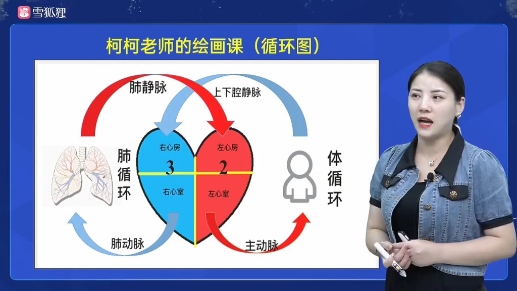 [图]【护士资格证考试】2024年护资考试网课护考网课护理循环系统