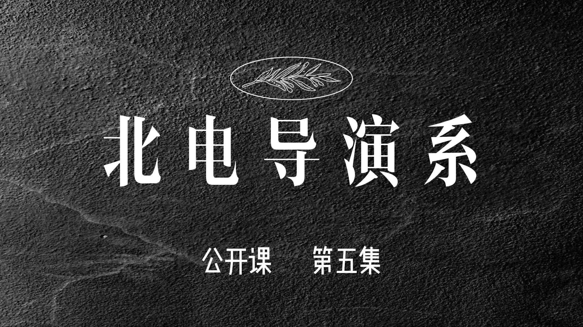 北电导演系公开课:第五集