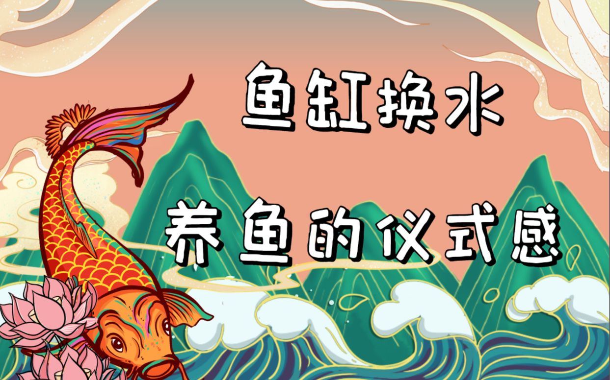 11鱼缸换水养鱼的仪式感