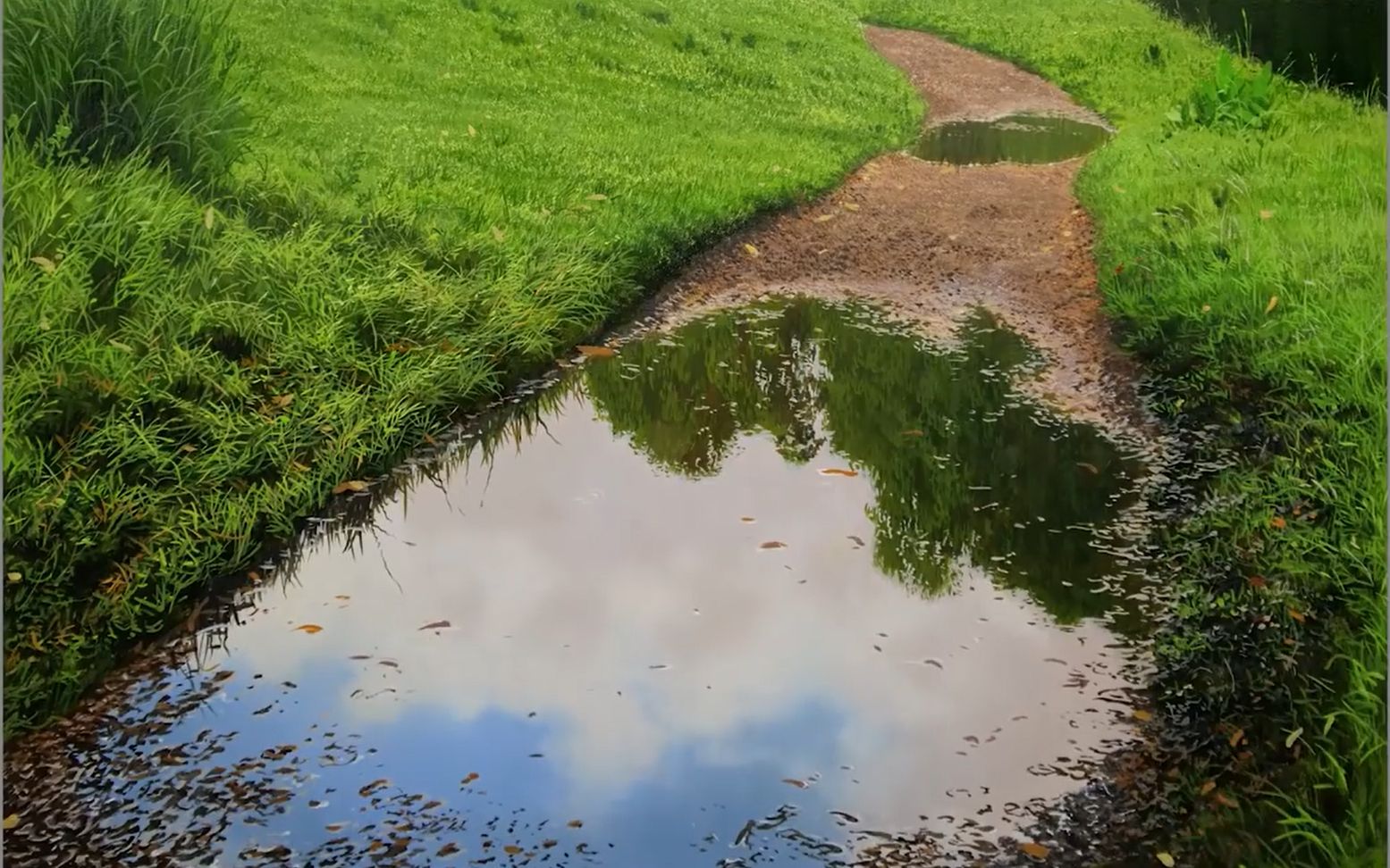 超写实油画风景画一幅草地与水洼michaeljamessmith