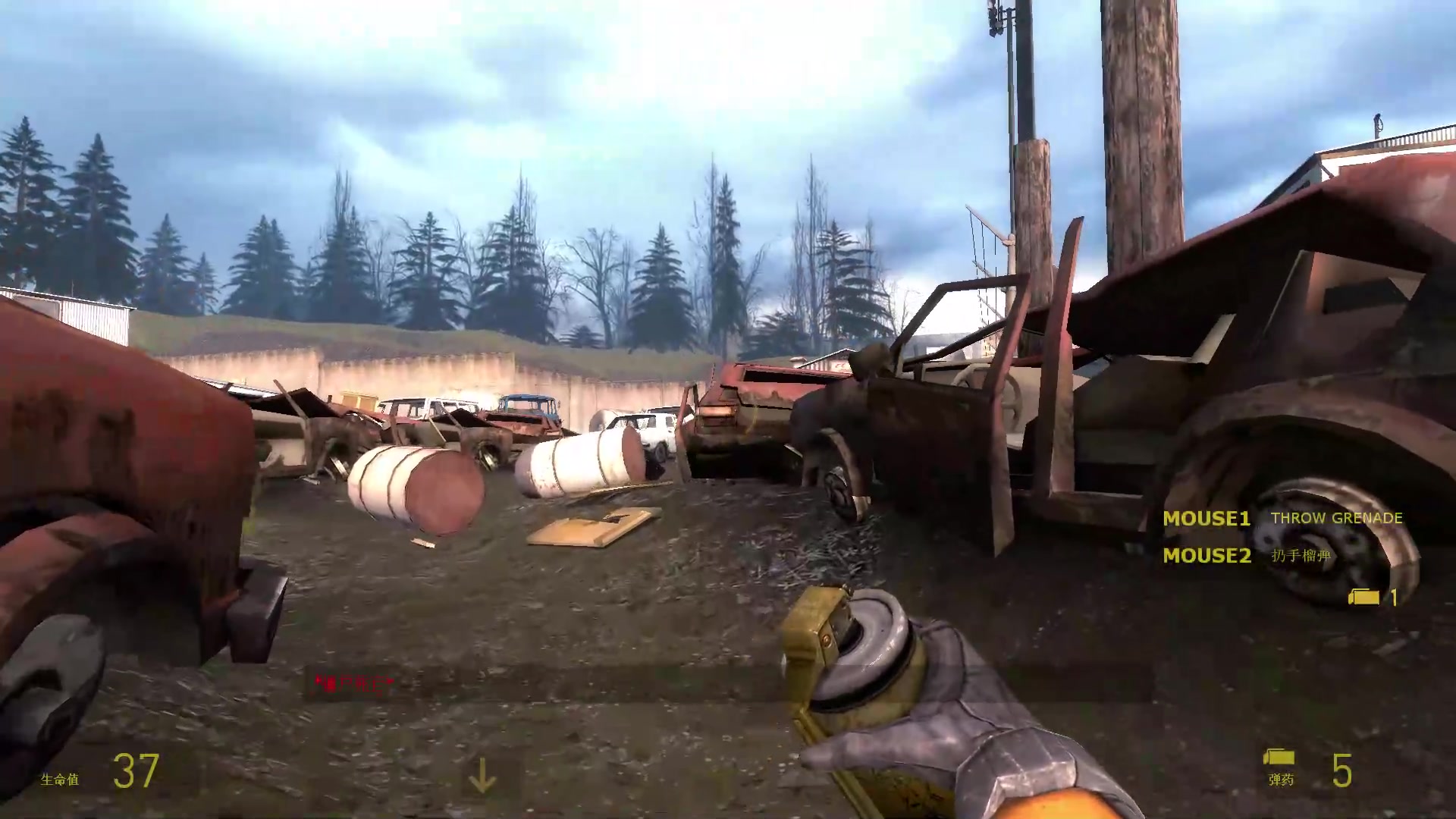 半条命2第二章阿狗力气真滴大p5