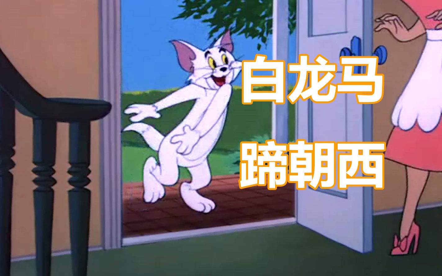 [图]白龙猫，蹄朝西