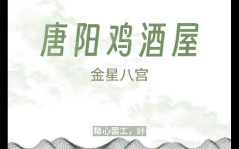 金星八宫哔哩哔哩bilibili