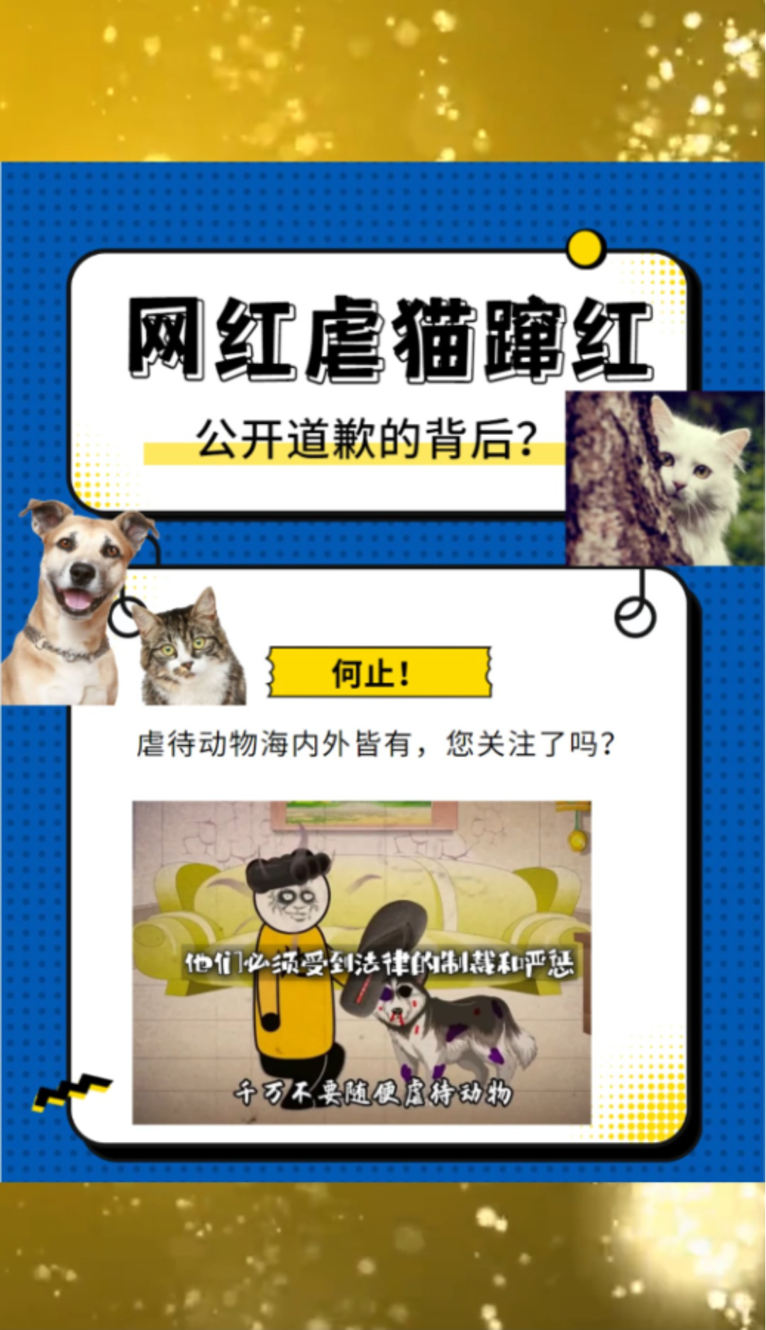 百万网红虐猫,究竟该怎样惩罚?哔哩哔哩bilibili