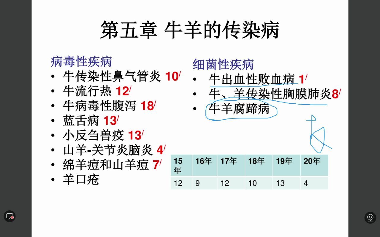 动物传染病(四)——兽医小灶哔哩哔哩bilibili