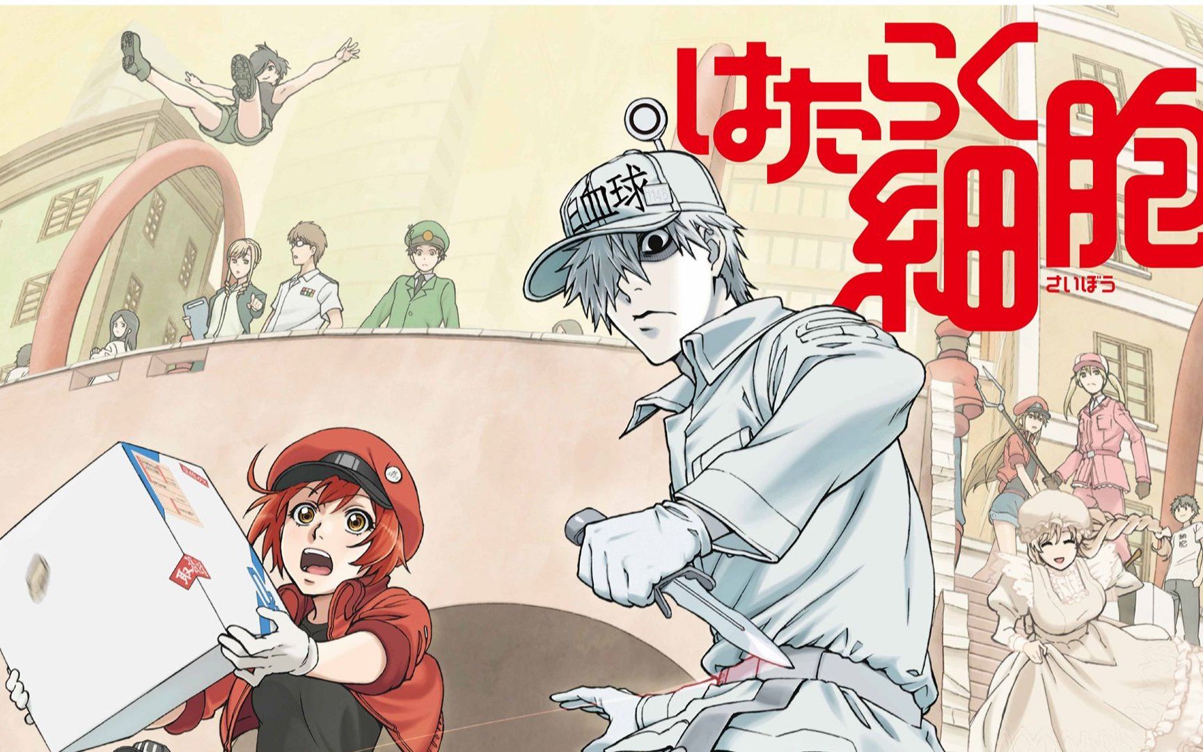 超可爱的工作细胞中的单词你都会吗旦夕老师的跟着动漫学日语系列第