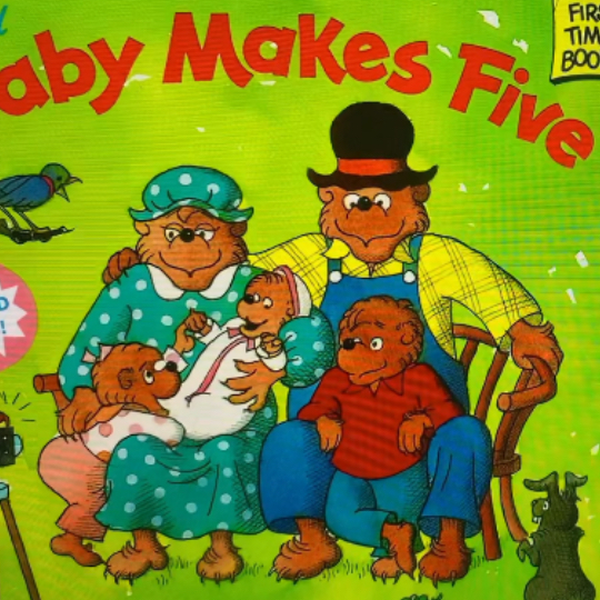 Berenstain bears best sale baby makes five