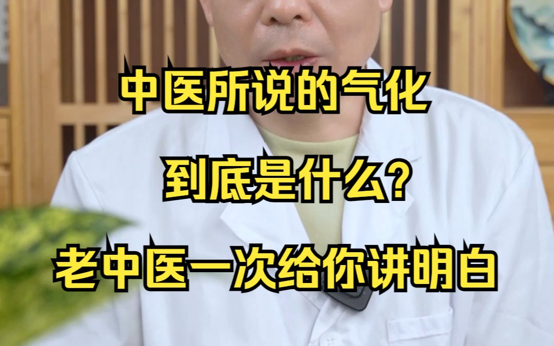 中医所说的气化到底是什么?老中医一次给你讲明白哔哩哔哩bilibili