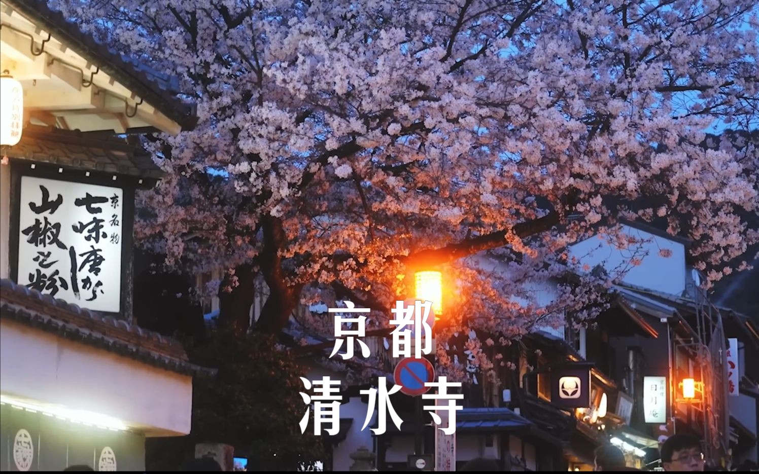 【日本旅游】夜游京都清水寺,享受樱花树下的浪漫美景