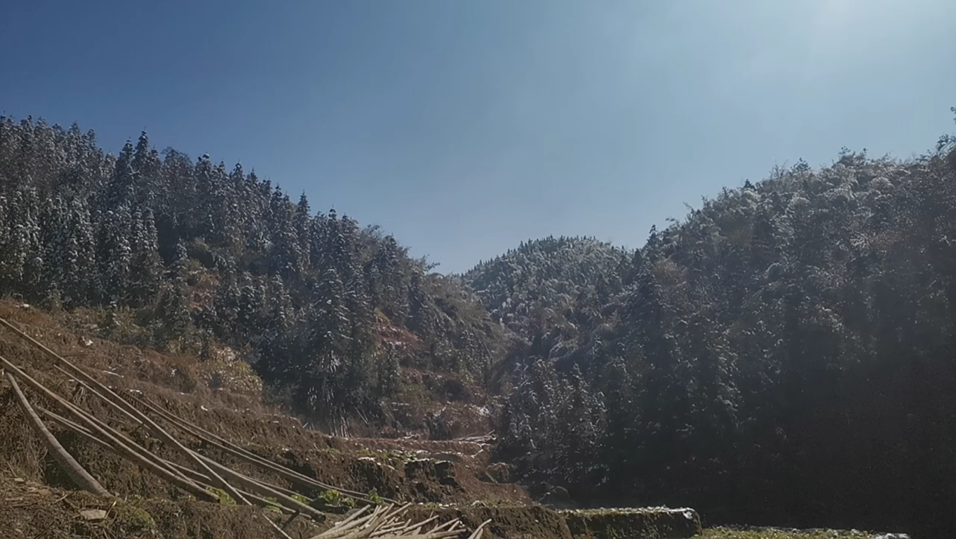 针不戳,住在山里针不戳