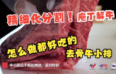 【肉品切割】去骨牛小排的多样化分切应用!哔哩哔哩bilibili