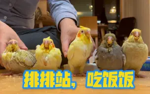 Download Video: 【玄凤走地鸡的疫情下的美好生活】好吃好喝毫无影响，殊不知奶粉就快光了，姥姥很发愁