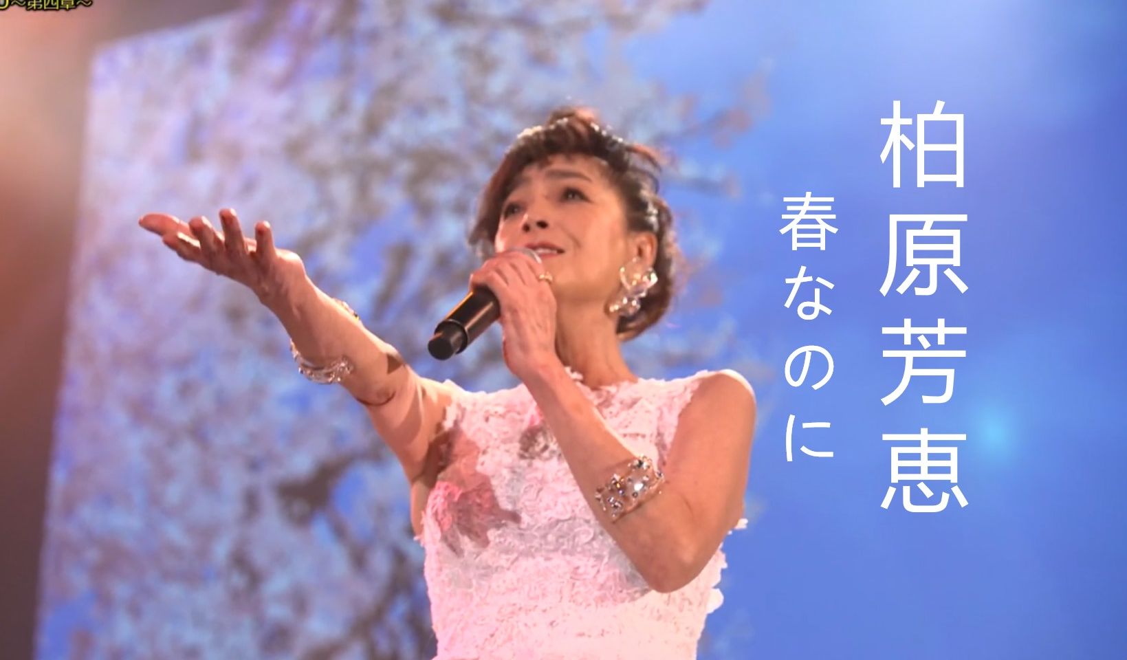 【尽管是春天】柏原芳恵 - 春なのに 2024.11.16