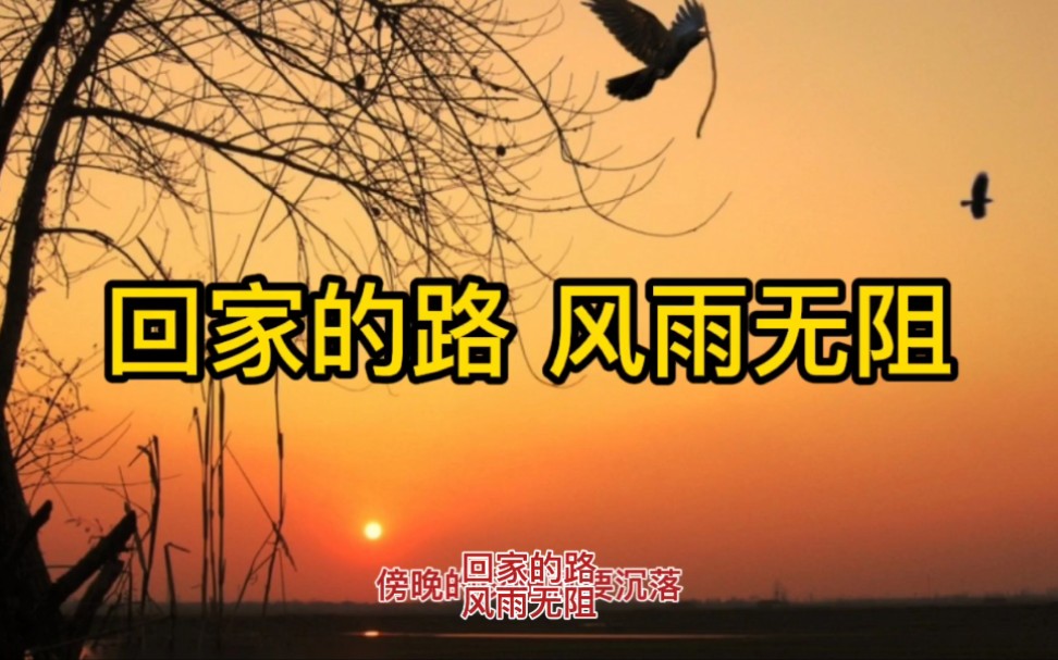 回家的路,风雨无阻