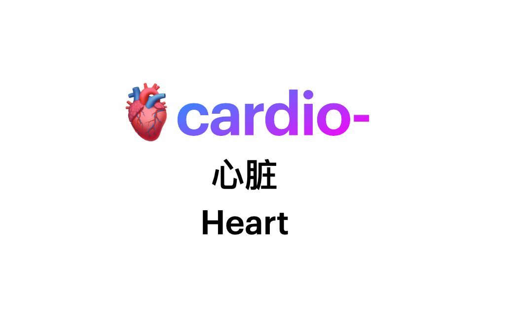 Cardio词根哔哩哔哩bilibili