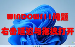 Descargar video: WIN11右击延迟拖拽问题