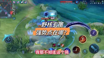 Descargar video: 打野玩不好玄策玩不会？那只是你没学会我教你的强势点！