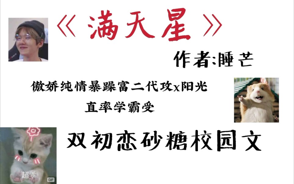 【扶茶】宠了一个暑假的小女友居然是男的?双初恋砂糖校园文推荐《满天星》哔哩哔哩bilibili