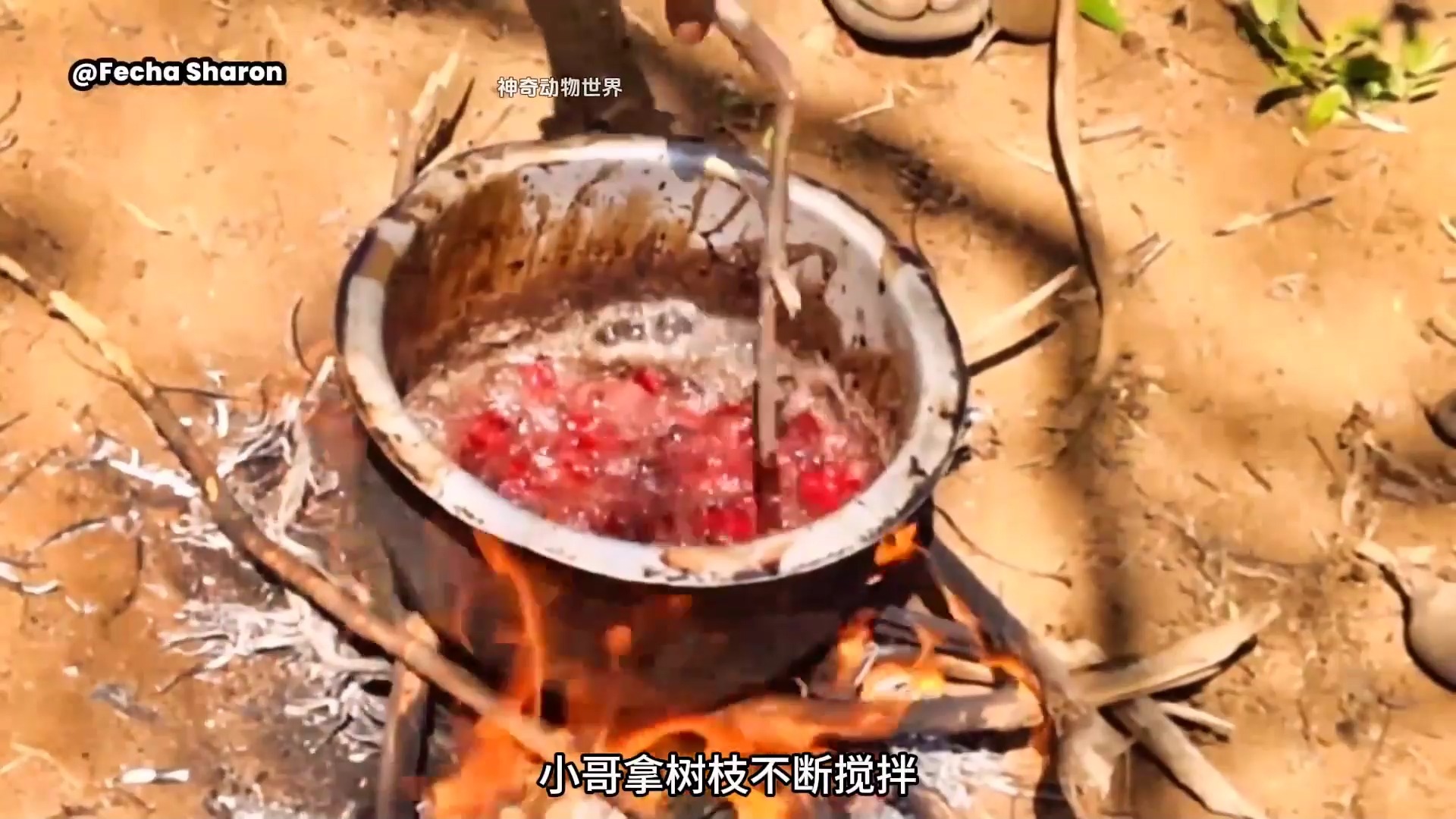 非洲人吃狒狒
