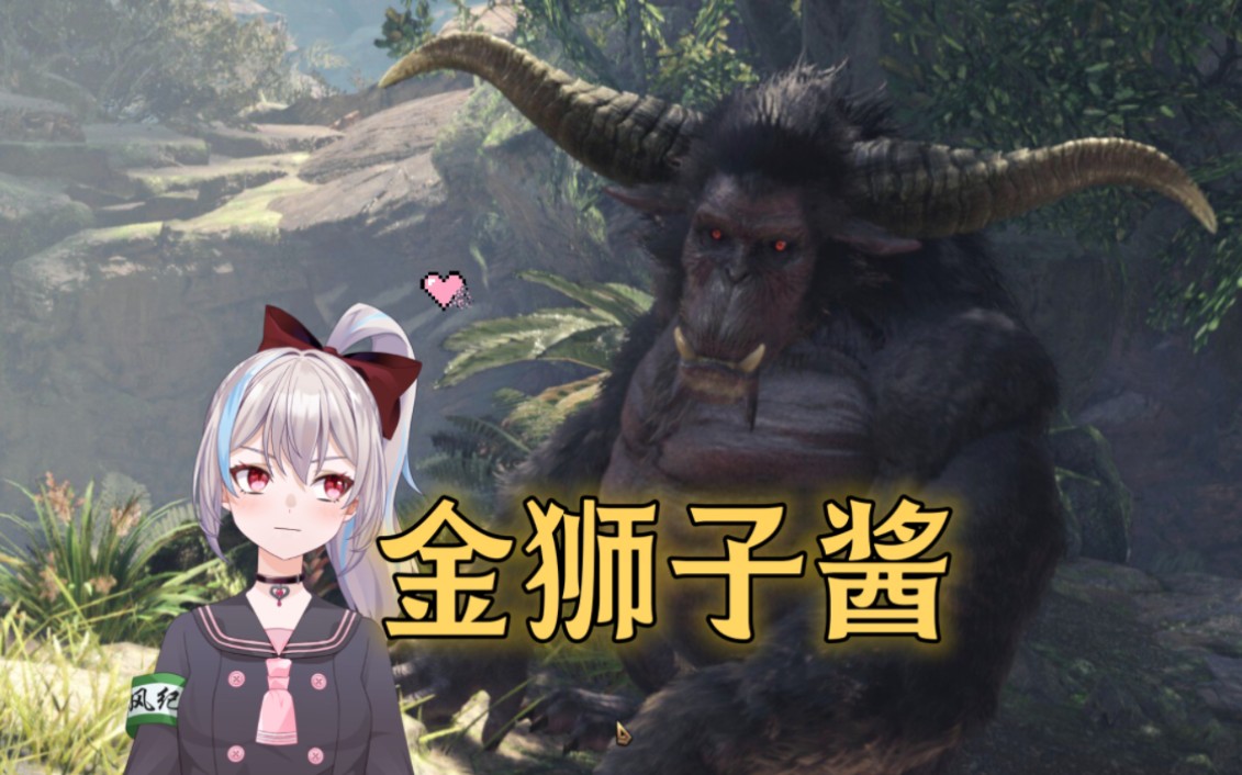 怎么会有金狮子这样的小可爱呀!