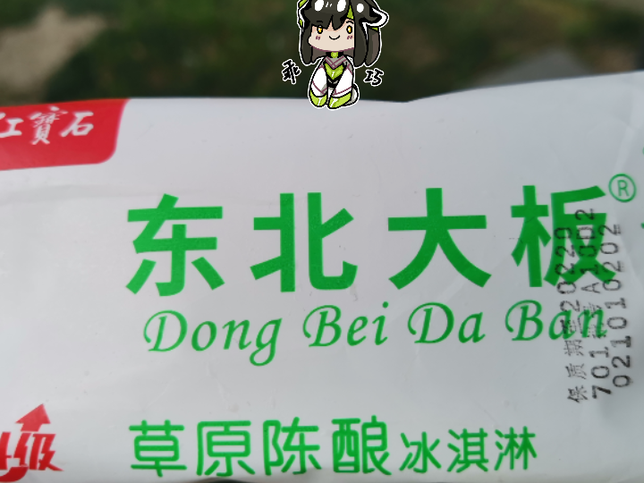 东北大板哔哩哔哩bilibili