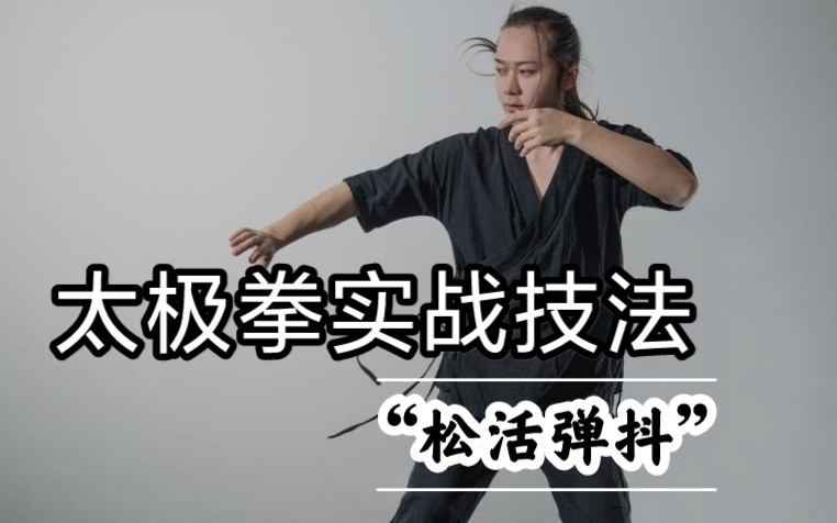 太极拳实战技法——"松活弹抖"