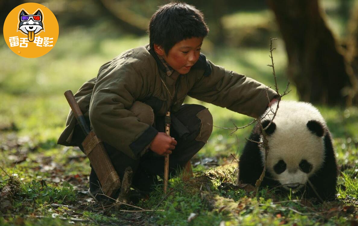 小男孩上山砍柴,却意外捡了只熊猫幼崽!电影《熊猫回家路》哔哩哔哩bilibili