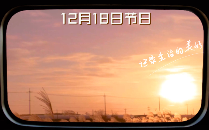 12月18日节日哔哩哔哩bilibili