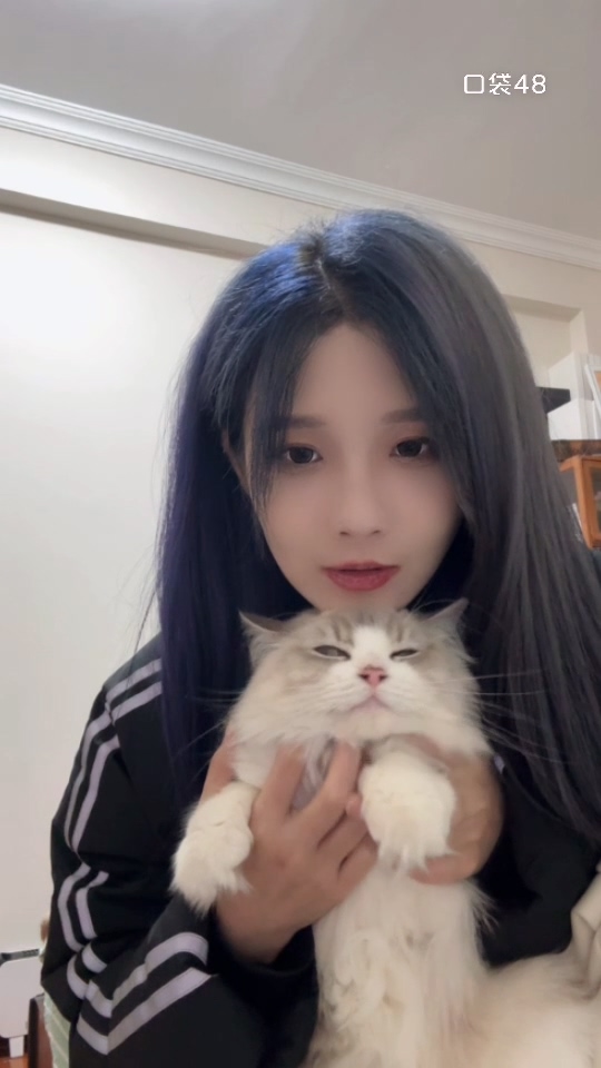 【刘力菲】240128直播全程