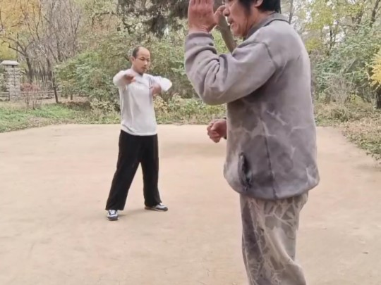 戳脚武趟子教学