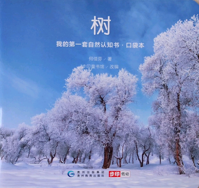 【教育部推荐中国原创图画书】—我的第一套自然认知书(8/60)—蒲公英608哔哩哔哩bilibili