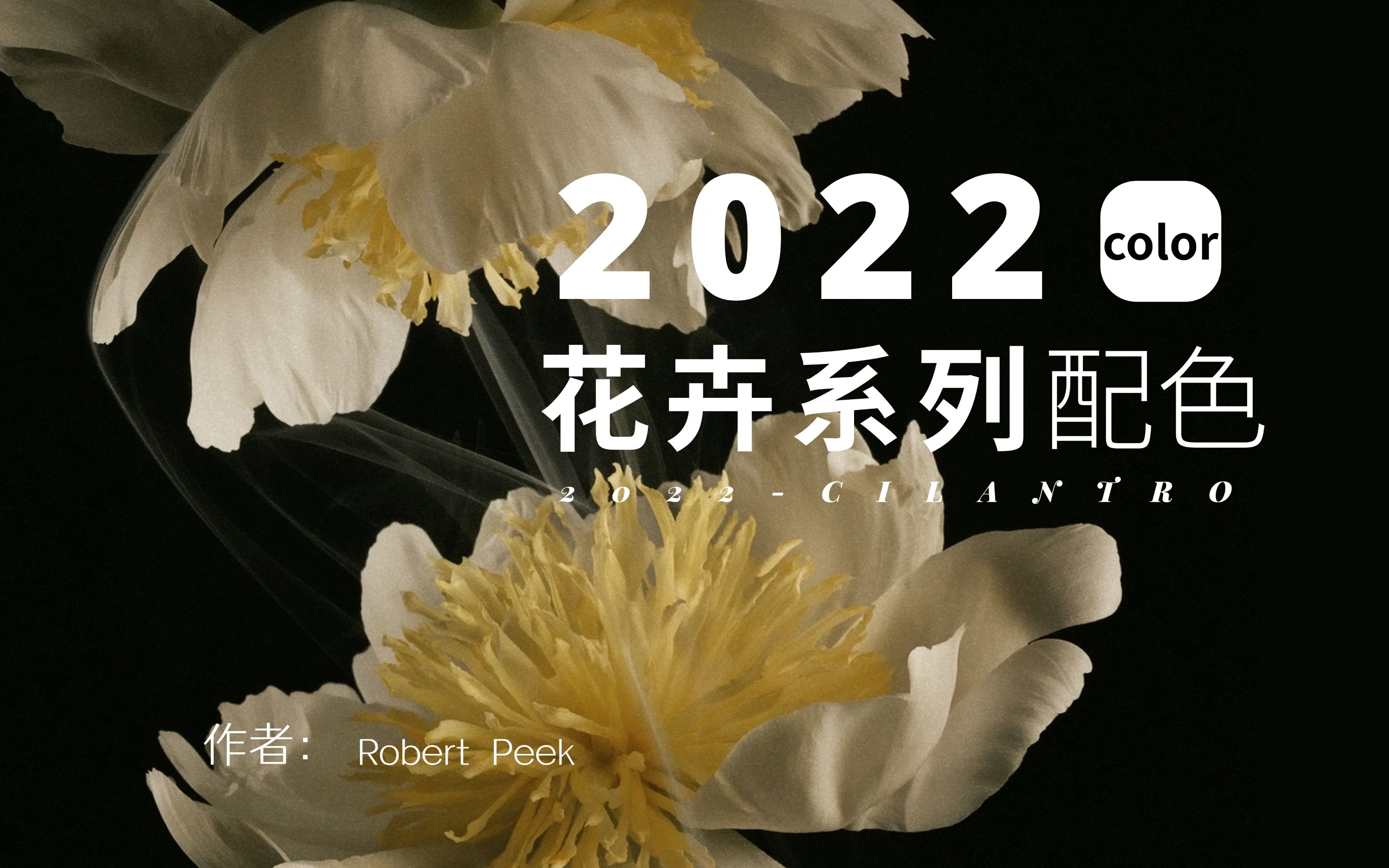 配色灵感06—2022花卉系列高级感配色哔哩哔哩bilibili