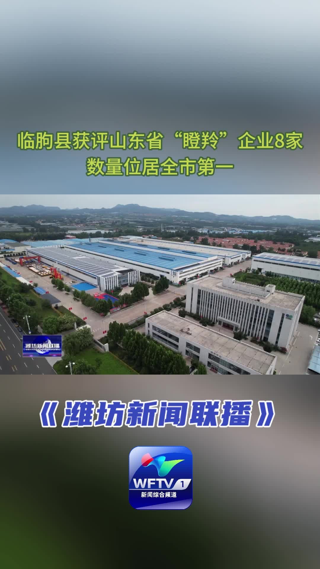 临朐县获评山东省“瞪羚”企业8家 数量位居全市第一哔哩哔哩bilibili