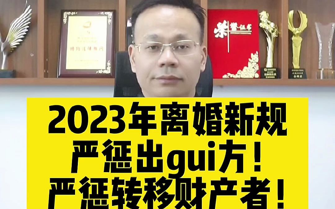 广州实战派离婚律师:2023年离婚新规,严惩出轨方!严惩转移财产者!哔哩哔哩bilibili