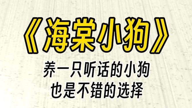 【海棠小狗】四爱文学之女攻.有时候,养一只听话的小狗,也是不错的选择呢......哔哩哔哩bilibili