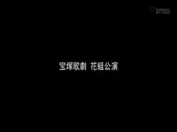 Download Video: 20年宝初的君子好逑有机翻(别点赞！别投币！)