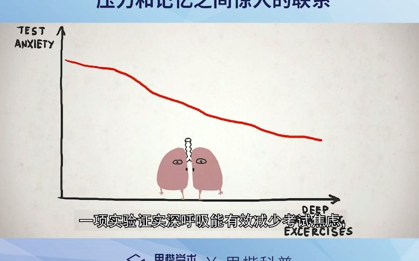 [图]压力和记忆之间惊人的联系