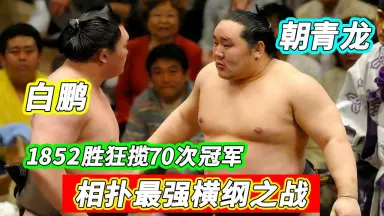 朝青龙-哔哩哔哩_Bilibili