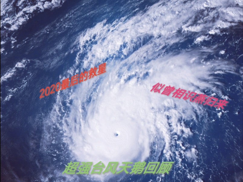 2020年最后的希望一超强台风天鹅回顾