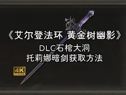 下载视频: 《艾尔登法环 黄金树幽影》DLC石棺大洞-托莉娜暗剑获取方法