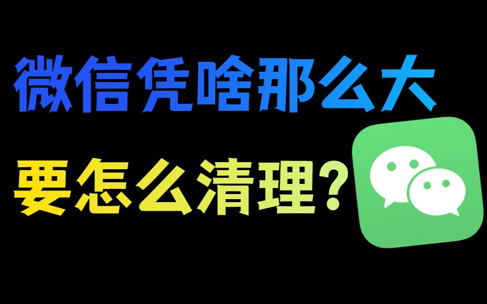 [图]up花上百小时，深扒微信到底为啥那么大！