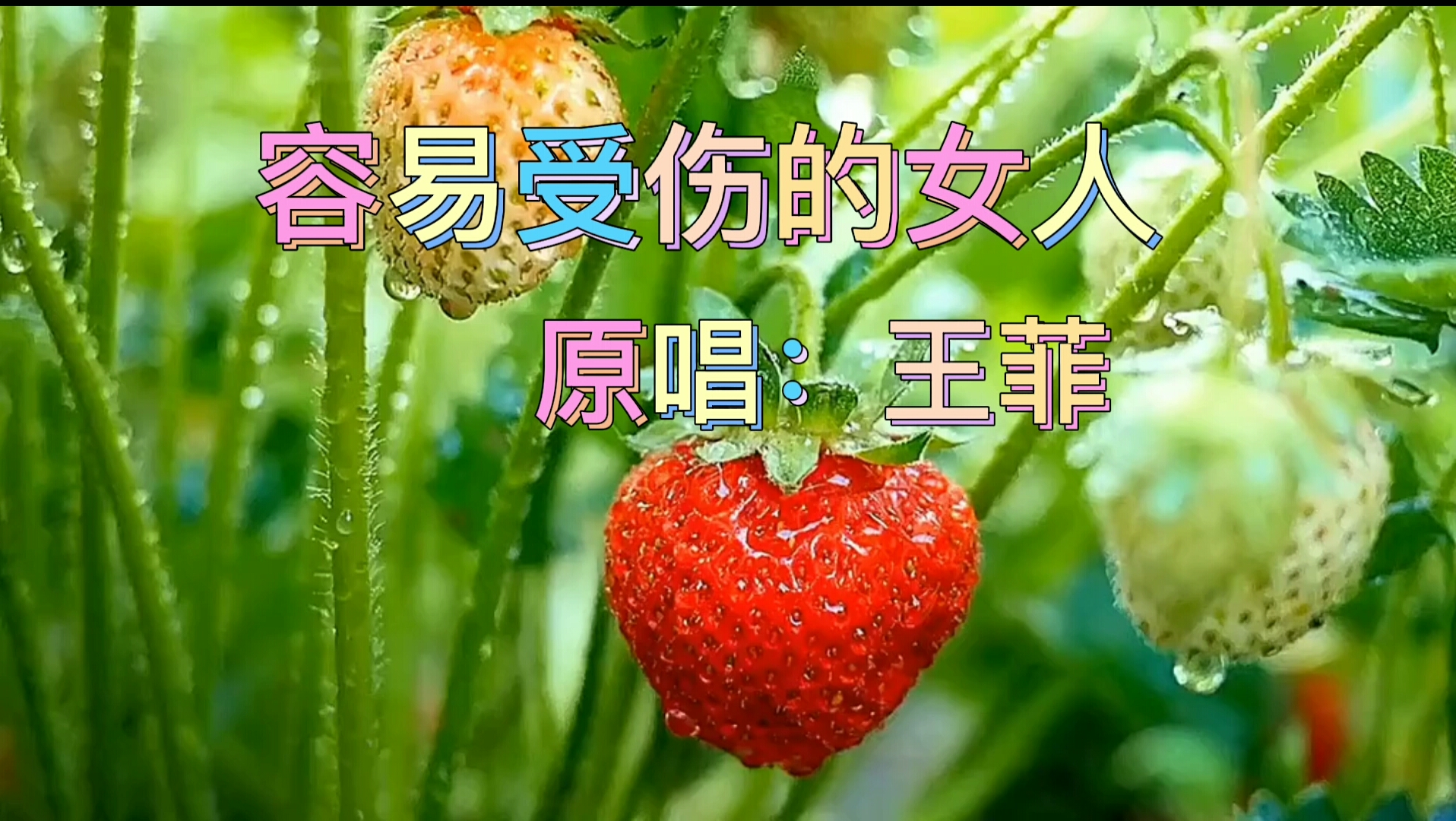 王菲歌曲原唱图片