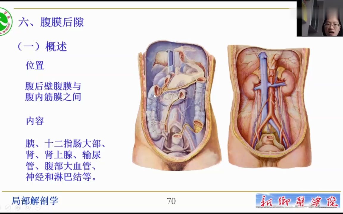 [图][4.5.2]--2.2腹膜后隙--直播教学视频