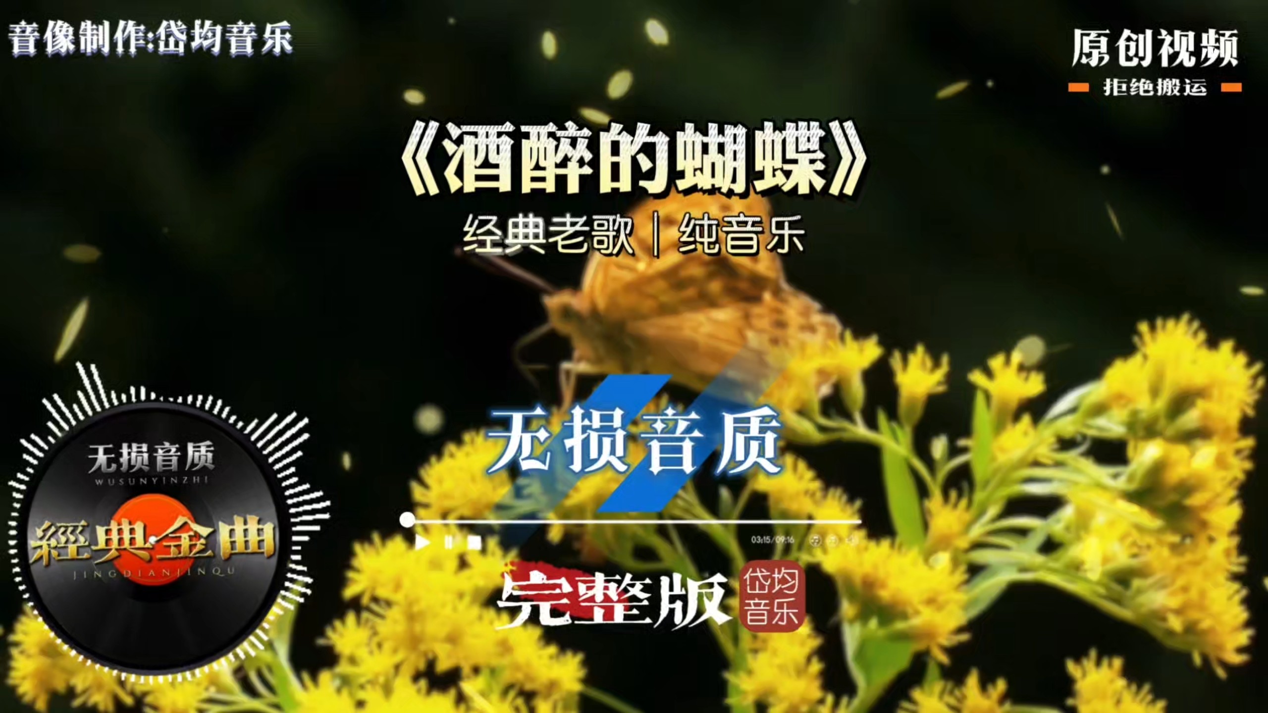 纯音乐酒醉的蝴蝶，去掉人声更有韵味，旋律悠扬勾起无数旧日情怀