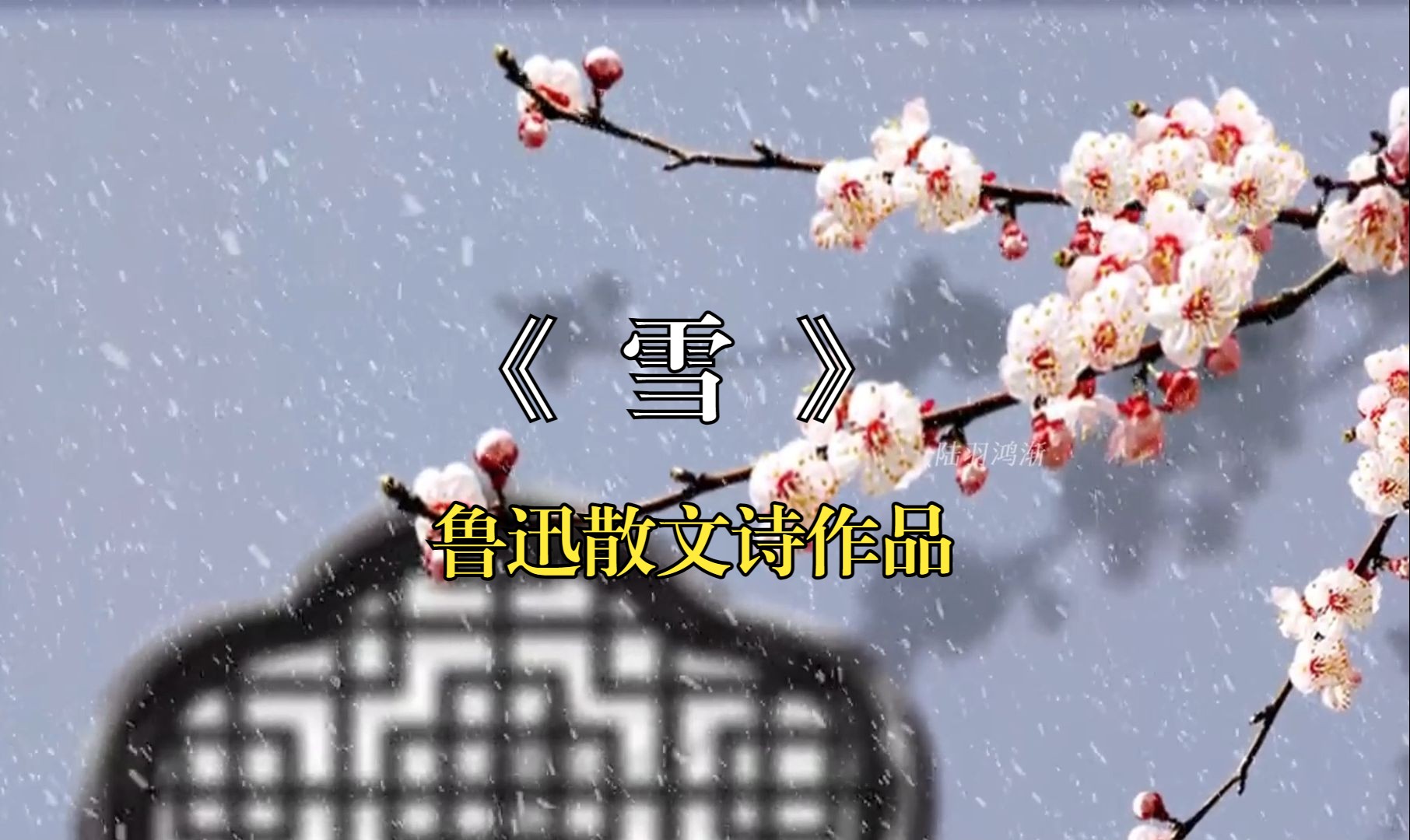 那是孤独的雪,是死掉的雨,是雨的精魂.哔哩哔哩bilibili