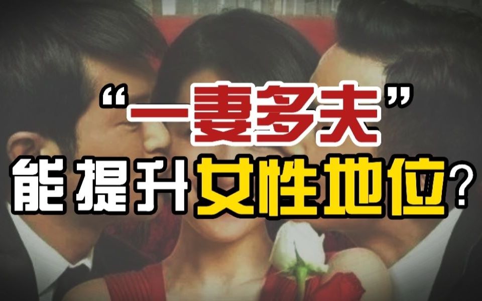 【小狐哔哔】“一夫多妻”+“一妻多夫”,这次玩这么大的吗?哔哩哔哩bilibili