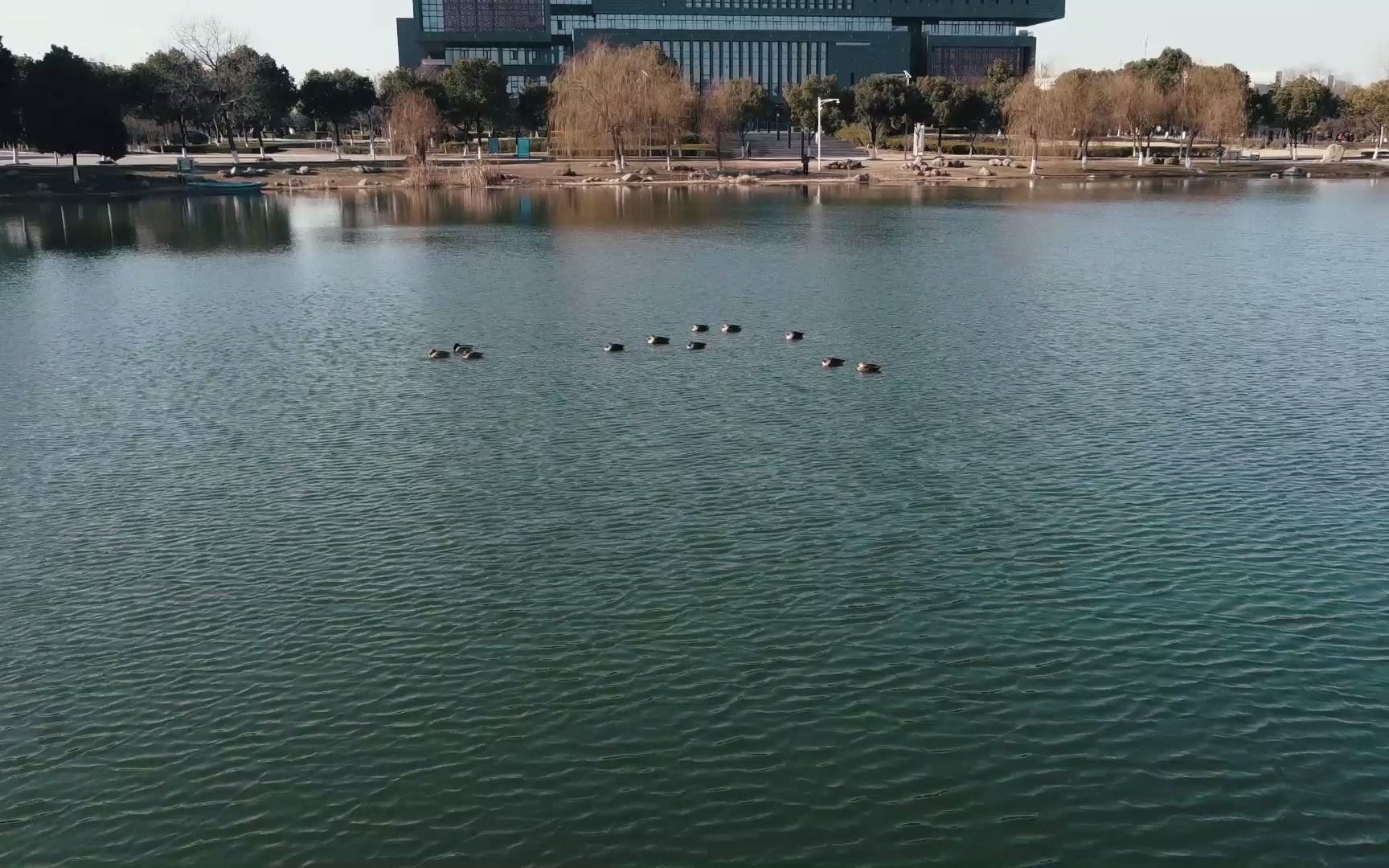 天印湖 B站