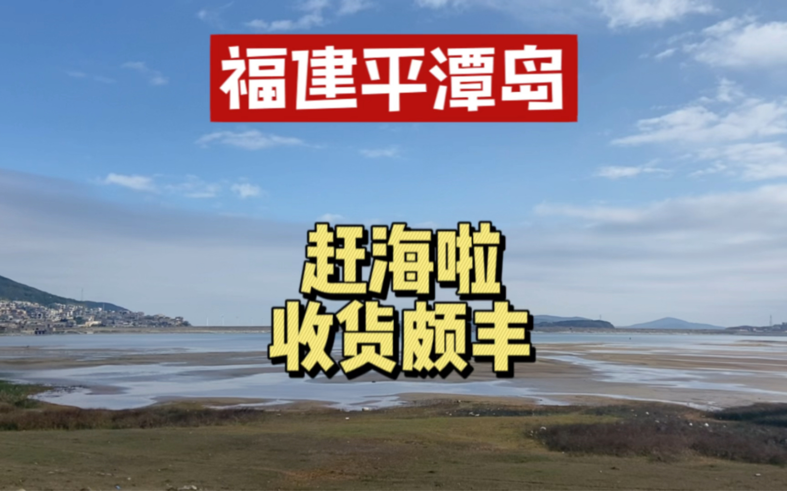 [图]福建平潭岛，赶海的绝佳地方，随随便便挖了很多蛏子和蛤蜊，收货颇丰